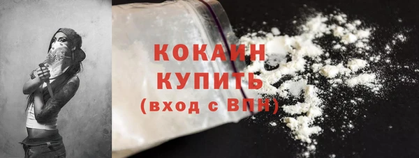mdpv Краснослободск