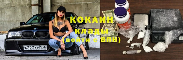 mdpv Краснослободск