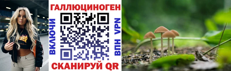 Галлюциногенные грибы мицелий  Купить где  Армянск 